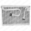 DELPHI TSP0525099 Evaporator, air conditioning